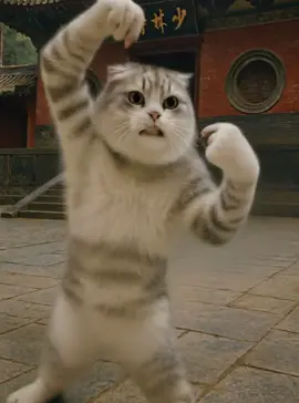 少林寺修行編3カマキリ拳#kunfu #cat #ai #funny #少林寺拳法 
