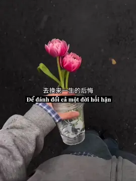 Cùng nhau cố gắng vì một tương lai tươi sáng hơn! 💪💪💪 #study #china #fyb #motivation #dongluc 