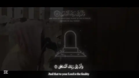 سبحان الله وبحمده سبحان الله العظيم 🤍#سورة_النجم #قران #القران_الكريم #محمد_اللحيدان #مكه 