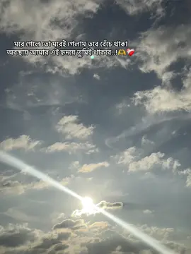 #creatorsearchinsights 