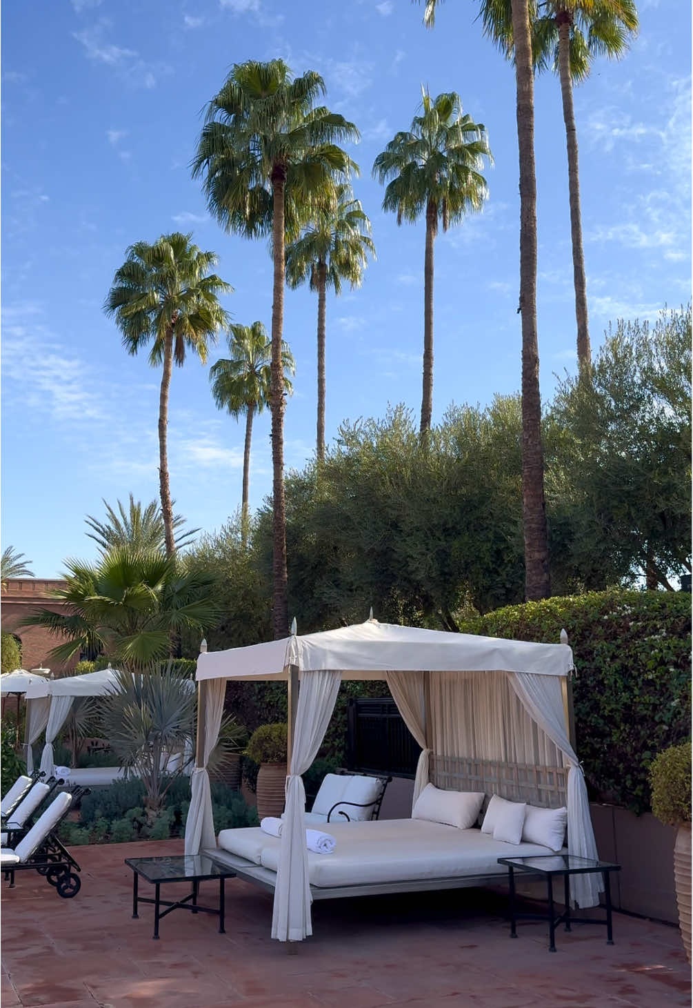 Marrakech mornings 