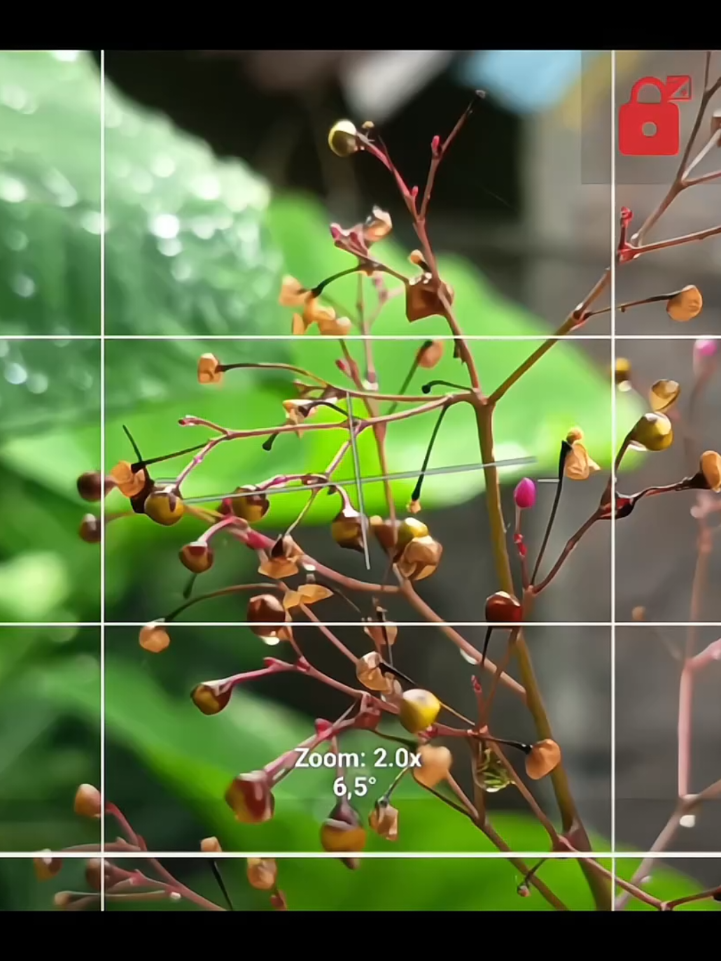cuaca mandung terus, gapernah cerah🗿🌿 📷 RedmiNote 14 5G #estetik #colorgrading #cinematicvideo #cinematicaesthetic #nature 