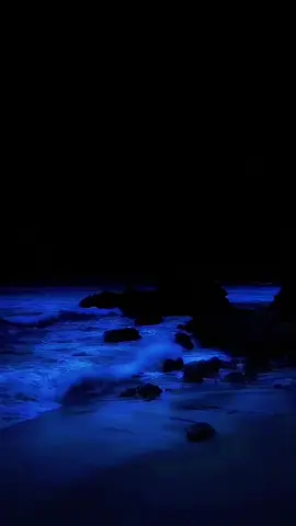 #fyp #ocean #aesthetic 