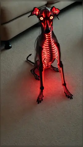 Halloween dog costumes 🐶🎃#halloween #dog #costumes #fyp #funny #fypシ #fypシ゚viral #usa_tiktok 