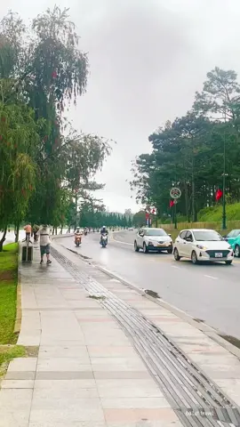Đà Lạt chiều mộng mơ 😘#thinhhanh #xuhuong #dalat 