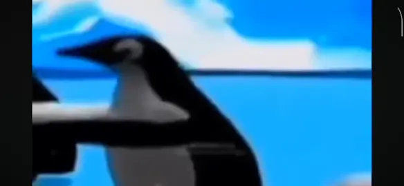 #ฟีดด #มีมตลก #เพนกวินมีม