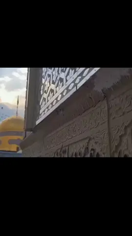 شفنه وجهك بالصور سيدي ومتنه عليك #مسلم_الوائلي #علي_الوائلي  #مولاي ياانيس النفوس #fyp 