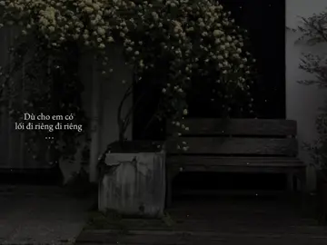 Chỉ vì hôm ấy….#khoi_31_8 #lyrics #nhachaymoingay #nanglunglinh 