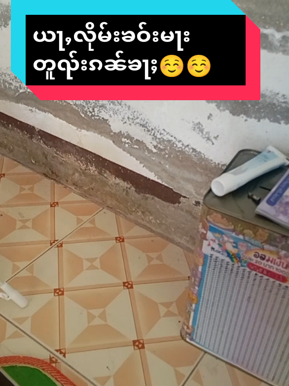 #ၶွင်ၸႆႉလီလႄႈၵႃႈၶၼ်ထုၵ်ႇ ယႃႇလိုမ်းၵူတ်းသင်ၵၼ်ၶႃႈ#