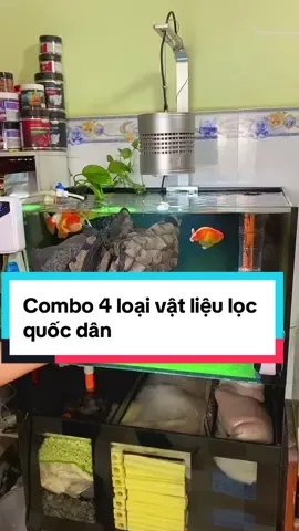 Combo 4 loại vật liệu lọc . San hô .xứ nhẫn trắng .nham thạch . than hoạt tính .vật liệu quốc dân .vật liệu lọc dành cho hồ cá cảnh .#kincareview #cavang #cacanh #oranda #ranchu     