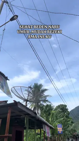 Amin…#pining#gayolues#storygayo#lagugayo#gayoviral