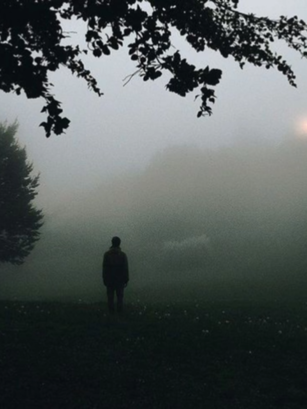 رافگت القمــر #باسم_الكربلائي #الامام_الحسين #المهدي #السيدة_زينب #رادود