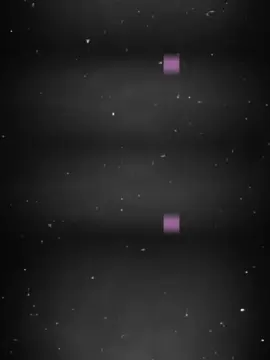 صورتك وخد الترند الجامد ده 😈🔥 #تصميم_فيديوهات🎶🎤🎬 #قالب_كاب_كات_جاهز #مشاهير #fyp #روسيا_المتسيط 