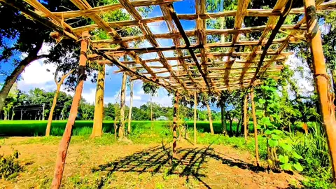অপেক্ষা সেই করে,যে একজনের মাঝে পুরো দুনিয়া খোঁজে..!!🥰❤️‍🩹🌿 #foryou #foryoupage #trending #tiktok #viral @TikTok @TikTok Bangladesh 
