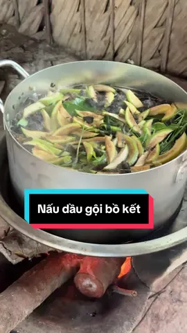 Dầu Gội Bồ Kết Nấu Tại Nhà Giảm Rụng Tóc Sau Sinh Lắm Luôn #sautivivafbimbim#tinhoque#xuhuong 