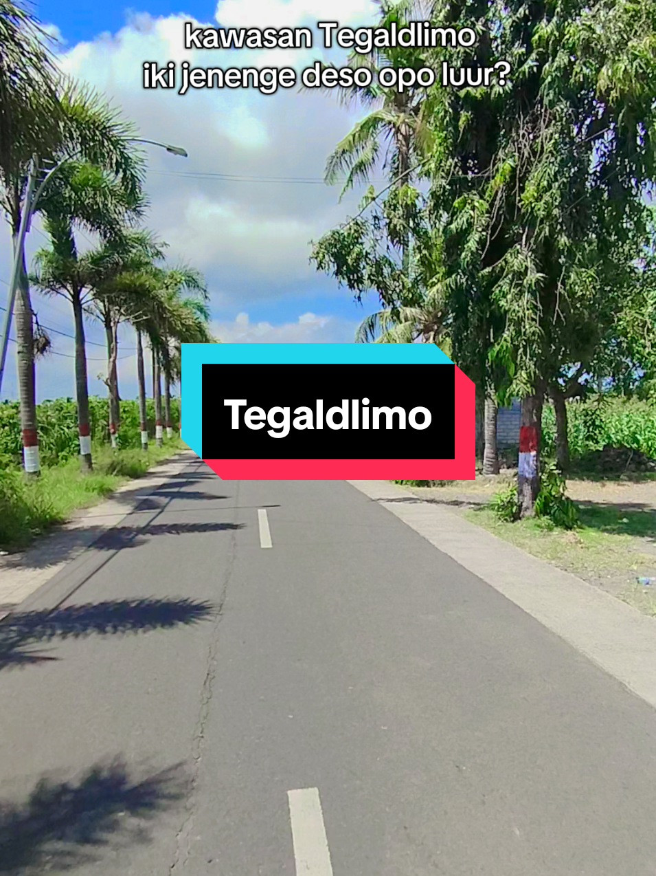seng nduwe wilayah komeno lurr..  #fyp #bwi24jam #banyuwangi #tegaldlimobanyuwangi #fyppppppppppppppppppppppp 