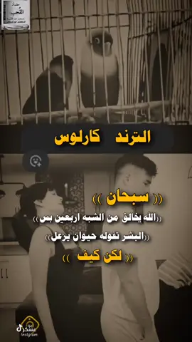 #عبارات #ابو_عسكر🧣 #tylerthecreator #تصميم_فيديوهات🎶🎤🎬 #قصف_جبهات😎 