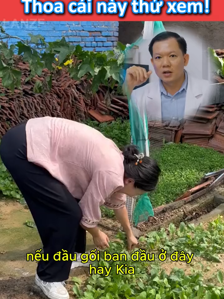 Kem Mát-xa Giảm Đau Cơ LANZF Nhanh Chóng - với Nhũ Hương, Glucosamine và Collagen Đã có 1.280.000 người sử dụng và cho đánh giá 5 sao.Được các chuyên gia hàng đầu Thế Giới khuyên dùng.#GELLANZF #xuhuong #viral