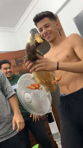 اتفرج للاخر#foryoupage #viral #fyp #fyppppppppppppppppppppppp #الشعب_الصيني_ماله_حل😂😂 