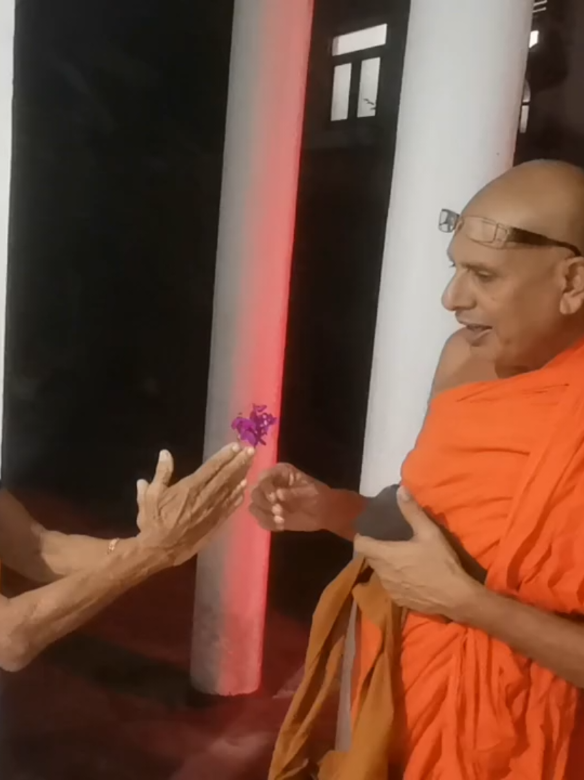 මලට බඹරෙකු සේ......බුදු සරණයි......🤕🤕🤕🤕🤕🤕 #mahindarajapakshe #srilankanews #SajithPremadasa #ANURAKUMARADISSANAYAKE #namalrajapaksa #srilankan #jvpsrilanka #NPP #AKD #ranilwickremesinghe #srilankan_tik_tok🇱🇰 #srilankan_tik_tok #srilanka #topnews #TopNews #news #latestnews #srilanka#srilankan_tik_tok #srilankan_tik_tok🇱🇰#NPPsupport #nppsrilanka #JVPSrilanka #AKD #ANURAKUMARADISSANAYAKE #NPP2028 #JVPYOUTH #NPPanuradhapura #WasanthaSamarasinghe #HariniAmarasuriya #srilanka #srilankan #srilankan_tik_tok🇱🇰🇱🇰🇱🇰 #srilankan🇱🇰 #srilankantamil #srilankangirl #srilankanmusic #colmado #sinhala #sinhalatiktok #sinhalastatusvideo #sinhalamotivation #sinhalarap #sinhalaquotes #sinhalastatusvideo #srilankanews #LKA #LatestNews #srilankanews