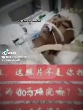 Thương anh không gì diễn tả được 🥹#JUSTICEFORYUMENGLONG #CÔNGLYCHOYUMENGLONG #于朦朧 #yumenglong于朦胧 #cbiz 