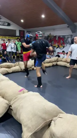 MALANG STREET COMBAT VOL. 13 _____________________________ 🔴 VS 🔵  VENUE @tigerkingcamp DATE Minggu, 28 September 2025  RULES KICKBOXING VIDEO LENGKAP NYA ADA DI CHANNEL YOUTUBE KITA YA THANKS FOR COMMING🥊🔥  VENUE @tigerkingcamp SPONSORED BY: @tigerkingcamp @onelotuspt @youc1000water @bpjs.ketenagakerjaan @rsuherminatangkubanprahu #msc #malangstreetcombat #mscvol13 #malangantitawuran #malangsadarbeladiri               