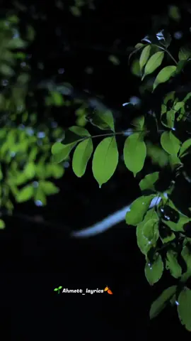 inuu halis yahy jecyl🖤💔#somalimusic🎶 #somalilyrics🌺😕💎 #ahmett_layrics😍🎧 