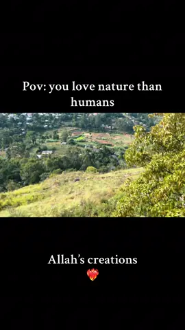 Everything has it’s own beauty ❤️‍🔥 #begratefulforwhatyouhave I #nature #Love