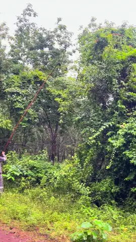 พายุบัวลอย #ช่างไฟภูธร⚡⚡⚡ #แก้ไฟฟ้าขัดข้อง #pea #CapCut 