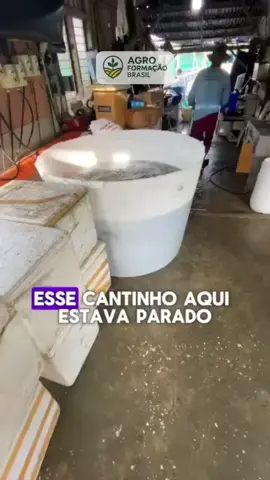 🦐 Quer começar sua própria criação de camarão, mas não sabe por onde? Com nosso material exclusivo, você terá acesso a videoaulas práticas e apostilas completas que ensinam tudo passo a passo. 👉 Acesse o link da bio e dê o primeiro passo no Camarão Lucrativo! 