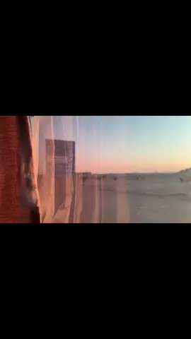 اليوم الوطني وصل الملكه الله يرحمه ⚔️🌴 #جامعه_بيشه#اكسبلورexplore #اليوم_الوطني_السعودي_٩٤ #قهوه .