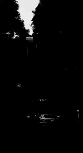 ركض بيه العمر.. #فاضل_الريفي #ترند #fyp 