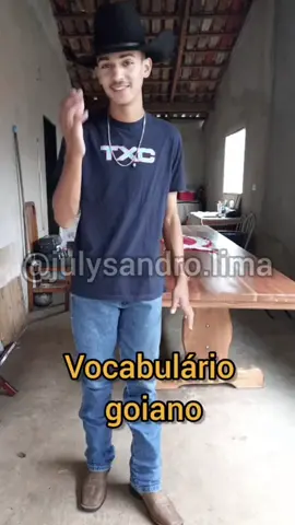 O q 6 acha de eu voltar com esse conteúdo? #cowboy #goiano #goias #minasgerais #meme 