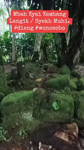 Mblusuk² sawah hutan²,, bukit kehujanan bukan jadi penghalang untuk mblusuk²,,😁 Mbah Kyai Kembang Langit / Syekh Muhi. Siapakah beliau,monggo wedaranya mbuahhh...🤭😁 Dieng,Wonosobo  #dieng #wonosobo #makamkeramat #sobopunden #jelajah #napaktilas #pmk 