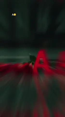 ##______💫🌺____ #A #my 