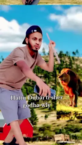 #repost #Follow #sher 