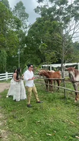 😂