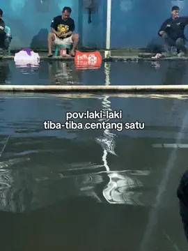 Abang lagi ngadu nasib dek 