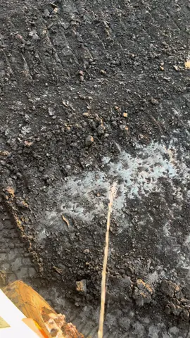 #fyp #sunset #tambangbatubara 