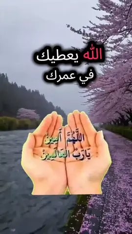 #####حفظكم_الله_ورعاكم_ونصركم_وأعزّكم_ #يارب_دعوتك_فأستجب_لي_دعائي #المغرب🇲🇦 