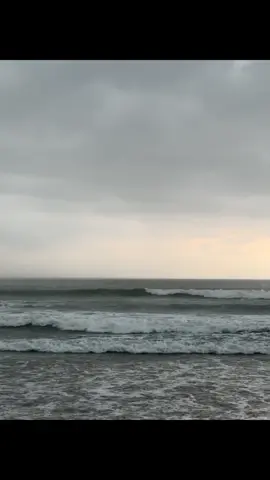 dipersilakan kata-katanya