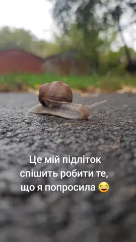 так і живем #підлітки #життя #гумор #mood #mylife 