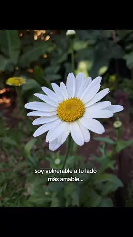 #viral #paratiiiiiiiiiiiiiiiiiiiiiiiiiiiiiii #yfp #dedicar 🤍