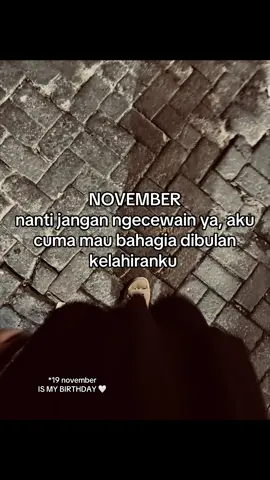 ver 19 #ulangtahun #november #tiktok?pelit?fyp #fyp 