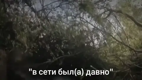 Был(а) давно 