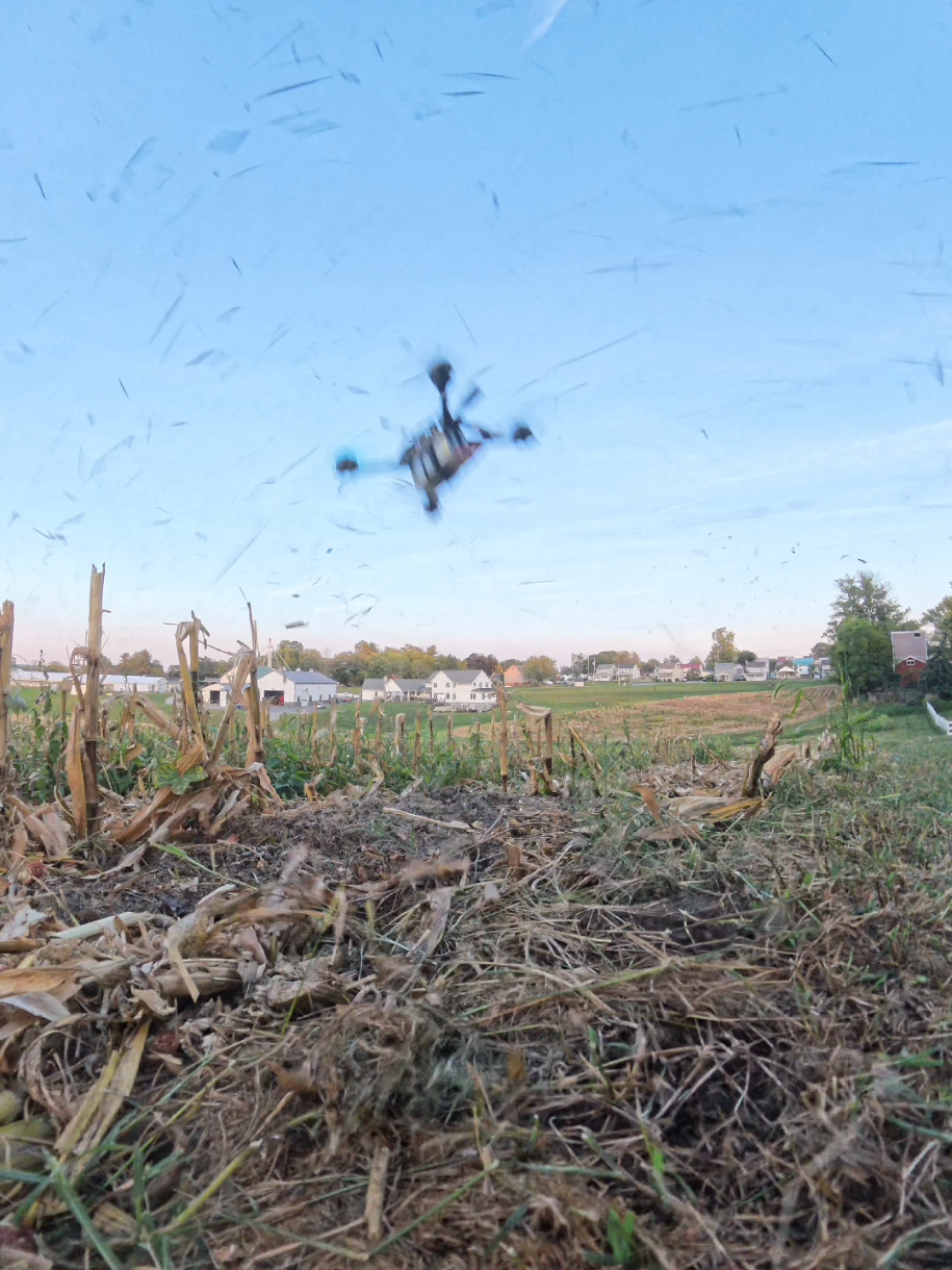 don't bother daddy when he's flying 😄 #fpvdrone #drone #dronelife