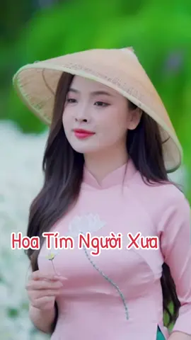 Hoa tím người xưa #nhachaymoingay #nhactamtrang #nhactrutinh #nhacbolero #nhacxuhuong 