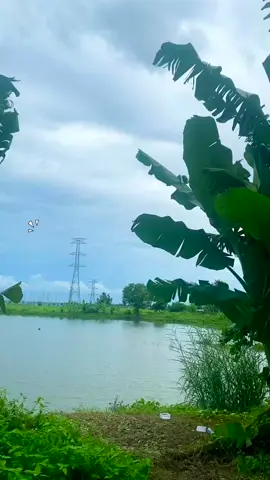 AE cập nhật nhé. hồ này dự kiến cho câu tầm 1 tháng hết cá là nghỉ nhe. #cauca #giaitri #nongtraivuivecuchi #capcut @Câu Lang Thang 