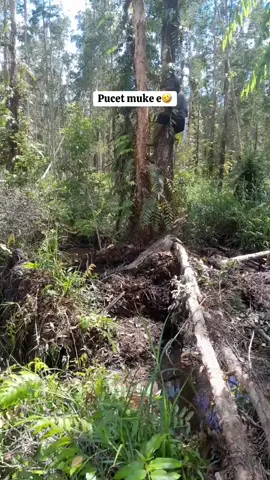 Ttp hati” untuk spradik yg bobi mncing atau masang belet soal e amau ni lh kurang ajar lh berani naik ke darat🤣