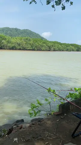 Mancing di muara WPK semoga poin #mancing #mancingmania #mancingpinggiran #casting #castingbabygt 